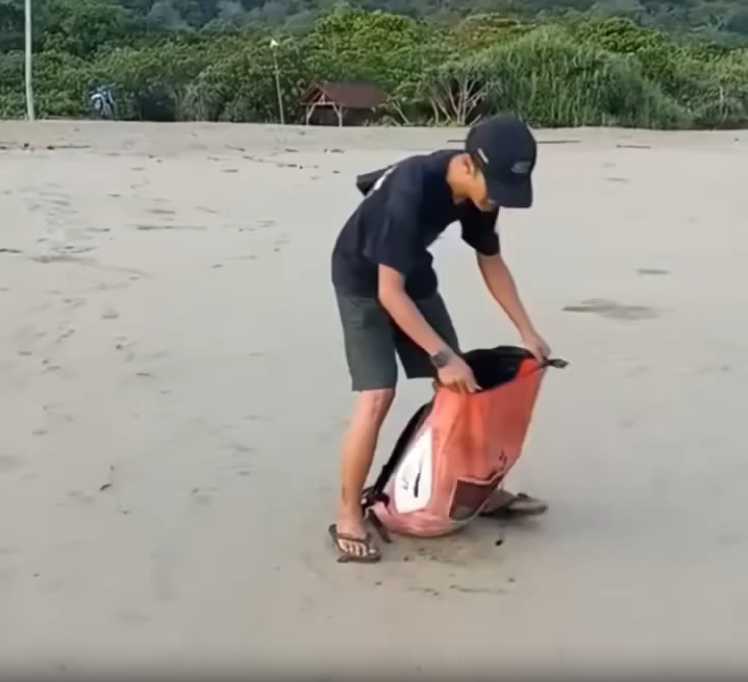 A Thousand Tiny Lives Returned to the Sea🐢🐢🐢