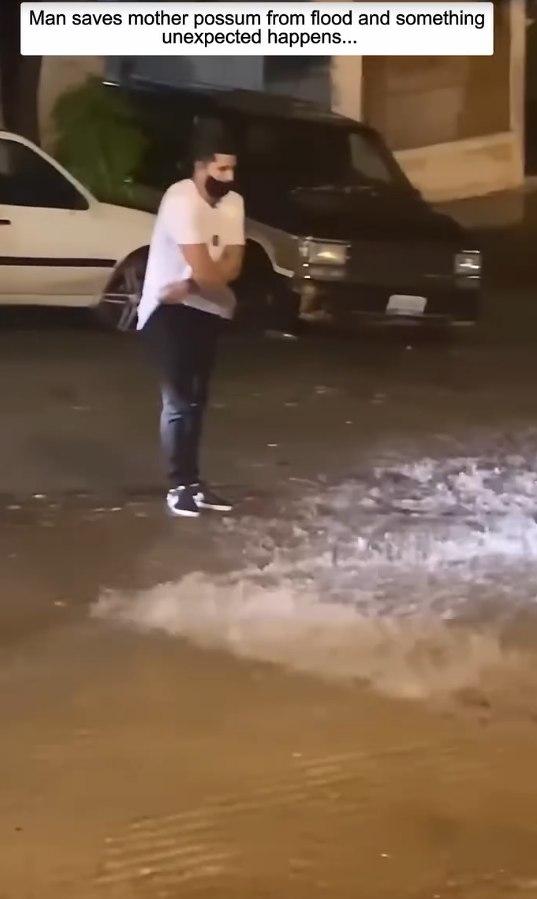 Man saves mother possum from flood and something unexpected happens🦘🌧️