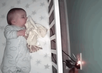 💡 Camera captured moment: Heroic dog saves baby from danger!