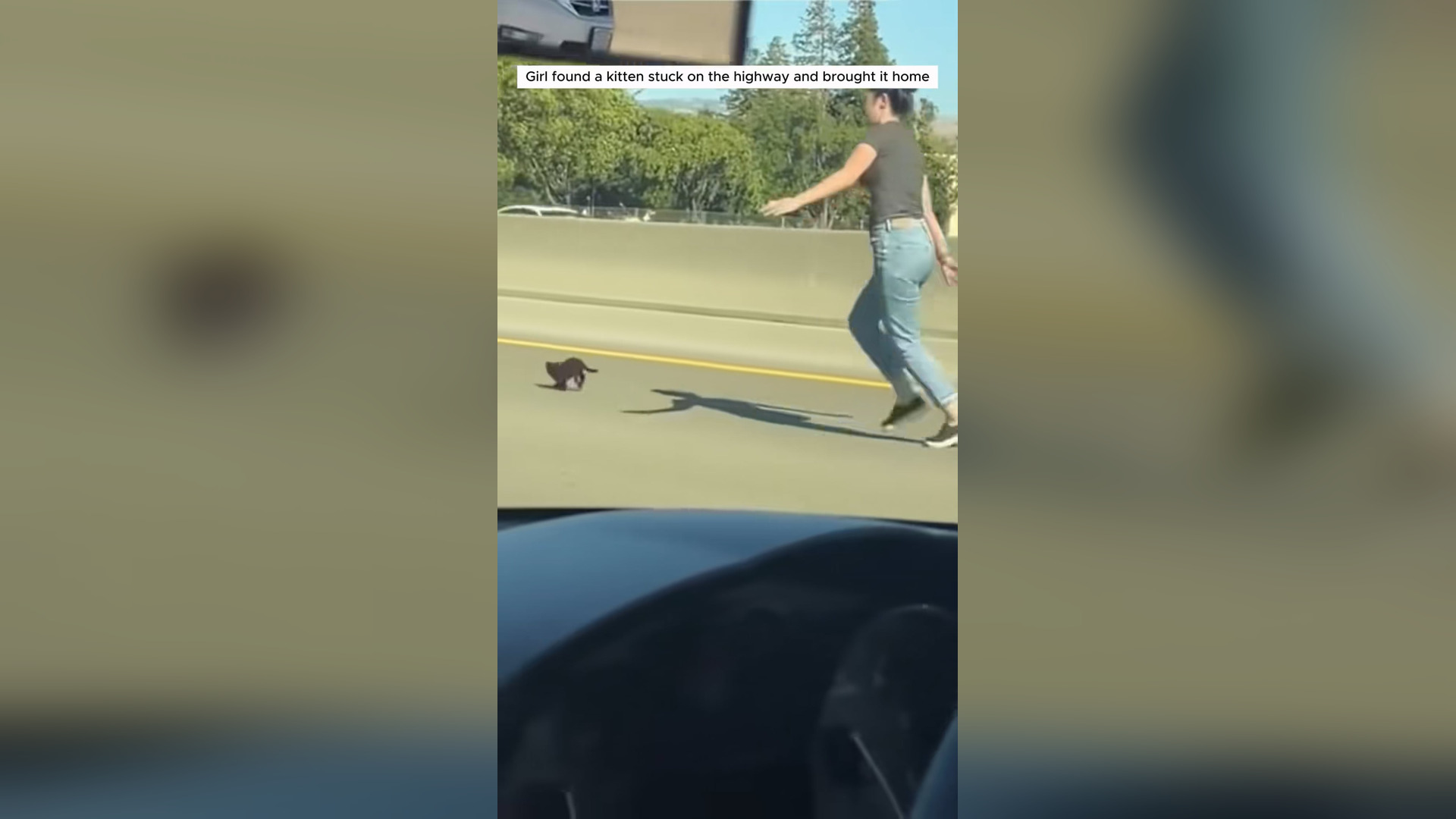 H0105033_Girl found kitten stuck on highway adopt