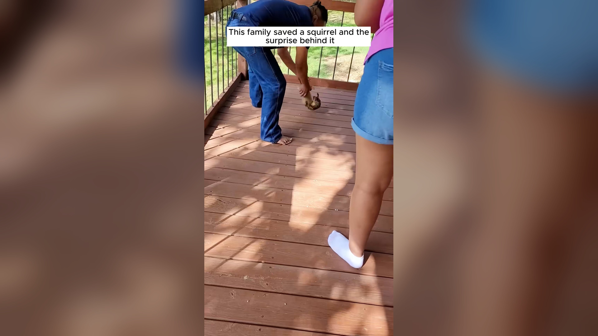 H2705015_This family saved a squirrel and the surprise behind it #rescue #animal #rescueanimals #animalsoftik_part2