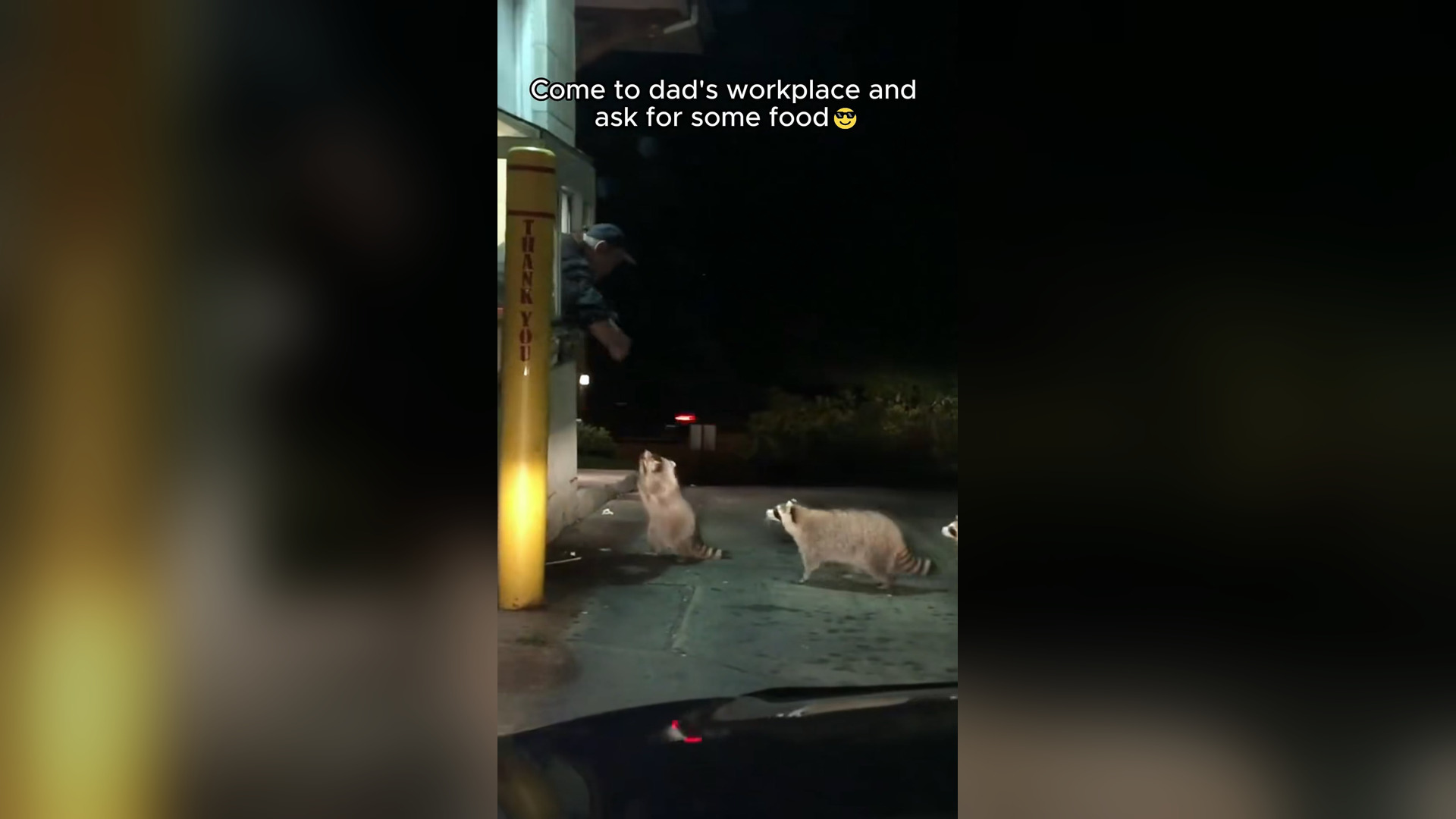H2705012_This is the ending for the man who saved the raccoons #rescue #animal #animalsoftiktok #rescueanimal_part2